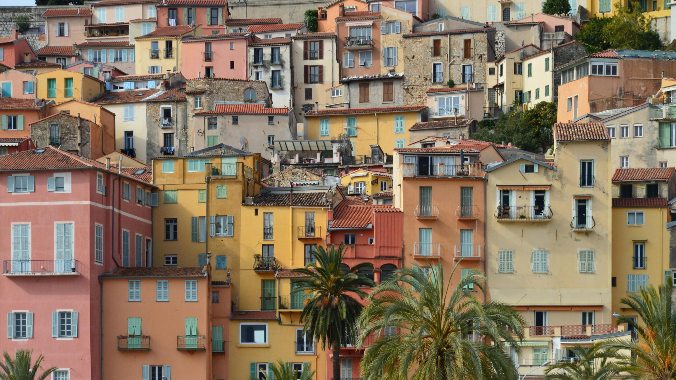 pexels-slimmars-13-197677686-16002696